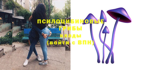 мяу мяу мука Кулебаки